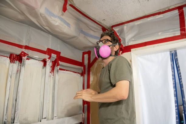 Mold Remediation for Vacation Homes in Dover, OH